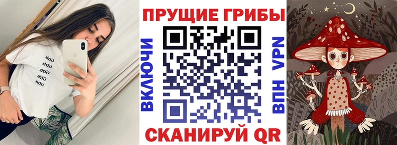 МЕГА ссылки  Алексин  Галлюциногенные грибы мицелий 