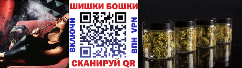 Каннабис сатива  закладки  Алексин 